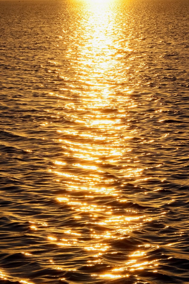 Sunlight Needs